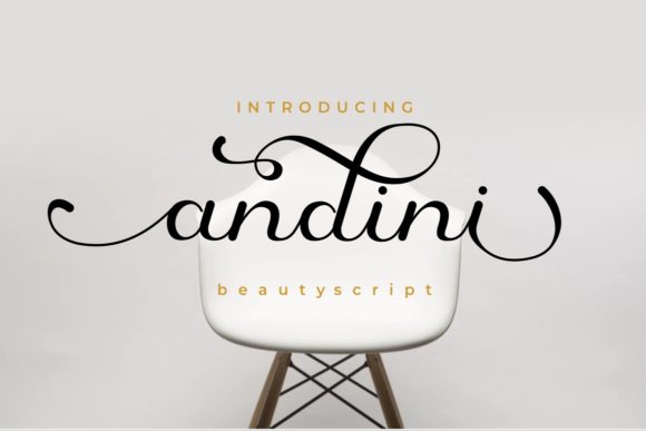 Andini Font: Elegant Script for Handmade Brands