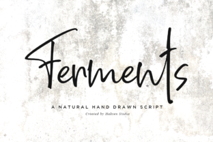 Ferments: A Charming Script Handwritten Font for Editors