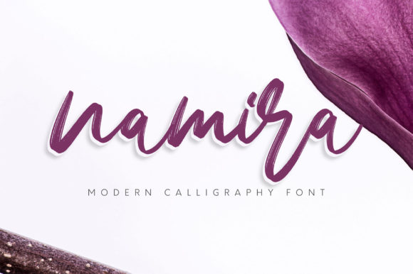 Namira Font Review: A Relaxed Script for Designers