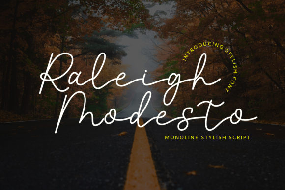 Raleigh Modesto: The Monoline Script Font for Modern Brands