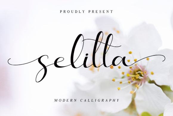 Selitta Font: Elevating Small Business Branding