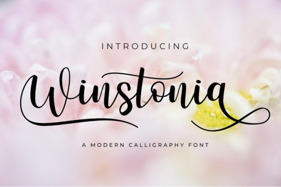 Winstonia Typeface for Modern Web Design